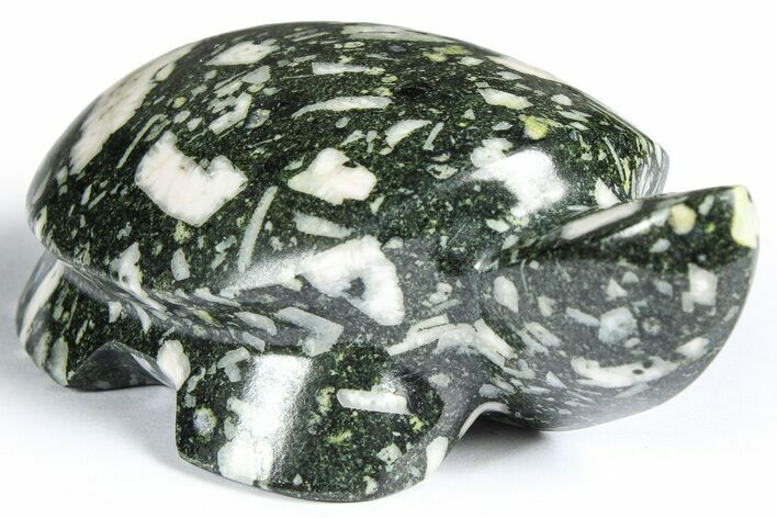Polished Chinese Writing Rock Turtle - Alaska #366527